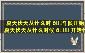 夏天伏天从什么时 🐶 候开始,夏天伏天从什么时候 🐛 开始什么时候结束2023
